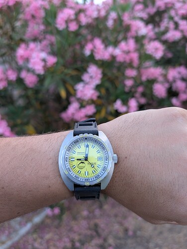 PXL_20250622_190209661.MP