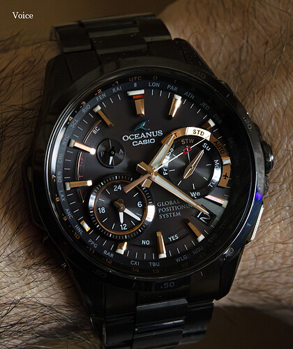 Oceanus Titanio GPS