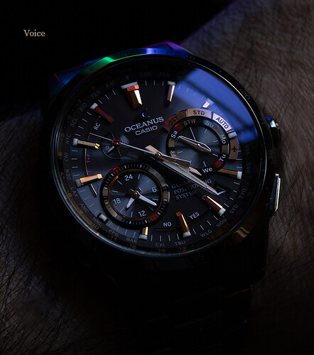 Oceanus Titanio 64-DLC GPS 5