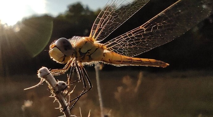 FB_IMG_1768301665474