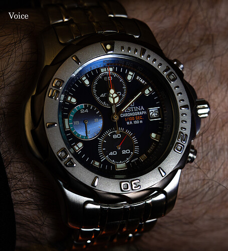 Festina Vintage Nautilus 2