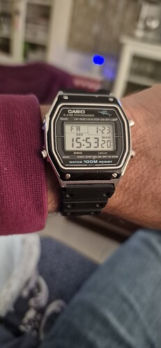 1000131951