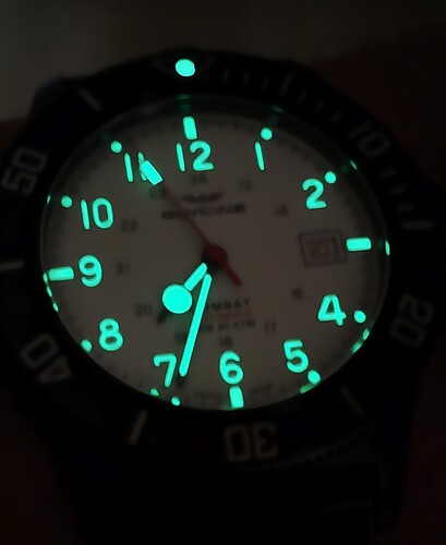 1000019684