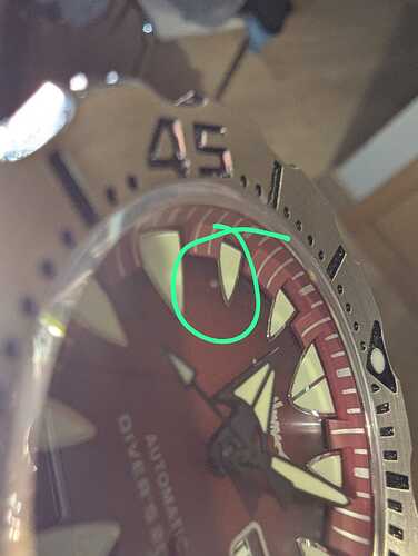 1000097458