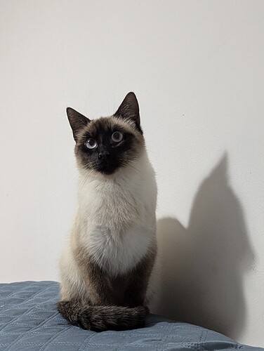 PXL_20260125_232844576.PORTRAIT
