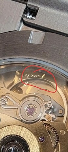 1000058231