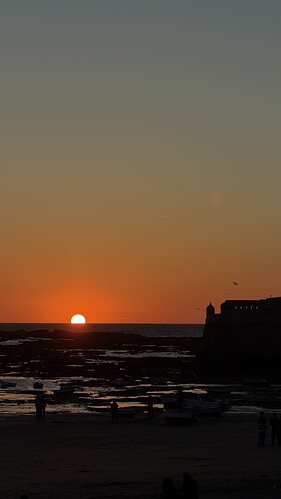 IMG_2879