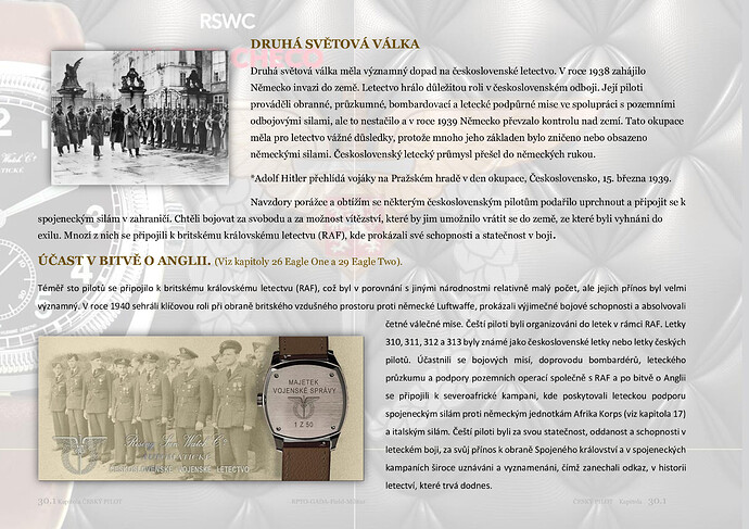 2638f4c5dbab55551439bfcb8131669d-1