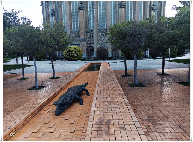 46 E09 IMG_20260202_091841