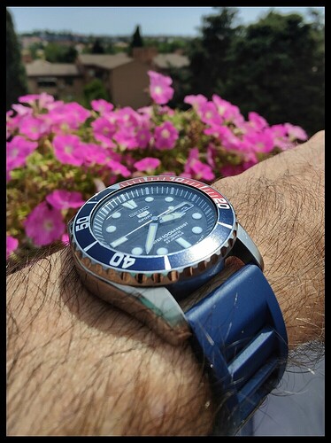 51aed65d040fcb6eddcf39d94ec6562c6e1bc1eb_2_748x1000