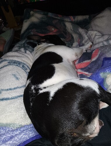 17400872088664593527015714164912