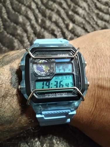 1000071290