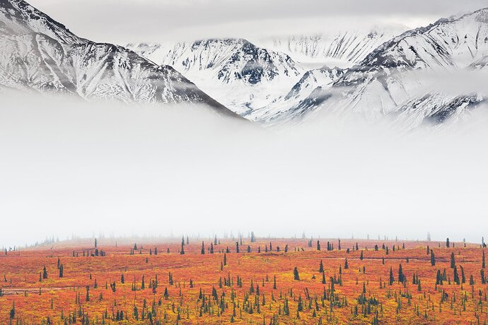parque-nacional-denali-alaska_e944f211_1500x1000