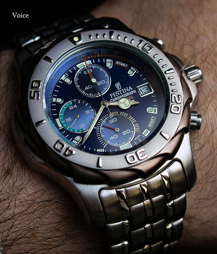 Festina Nautilus Vintage 2