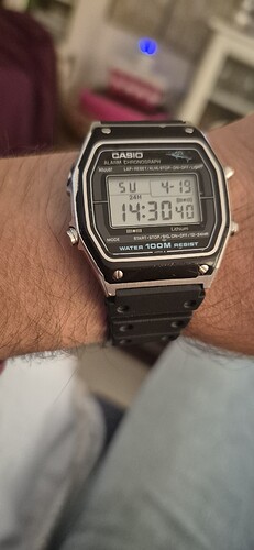 1000153013