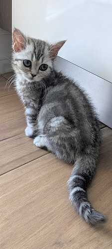 WhatsApp Image 2025-09-01 at 14.54.30