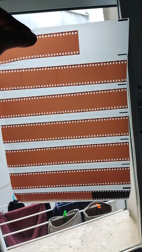 IMG-20250209-WA0012