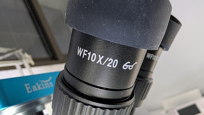 PXL_20260131_193304735