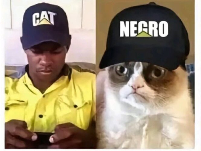1000028531