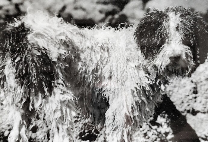 20230529_181342-01-01