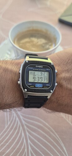1000197217