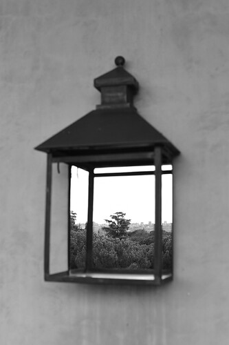 IMG_3580