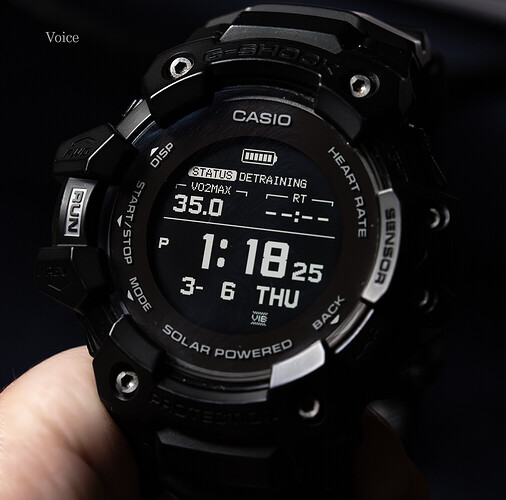 GBD-H1000 GPS