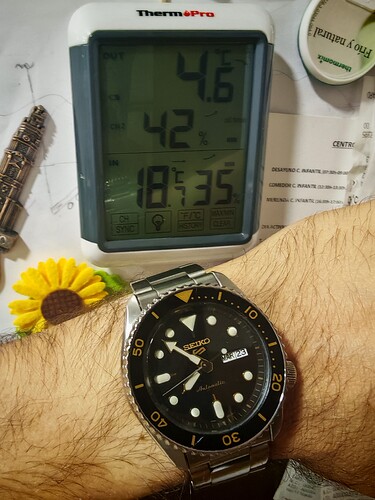 1000073357
