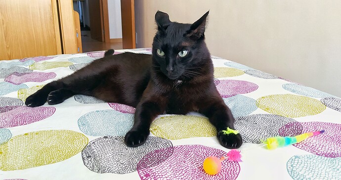 IMG_20251011_114729-01-01