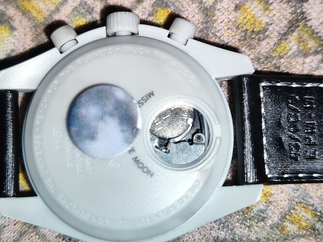 17605532142052031778106247650702