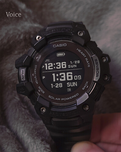 GBD - H1000  01