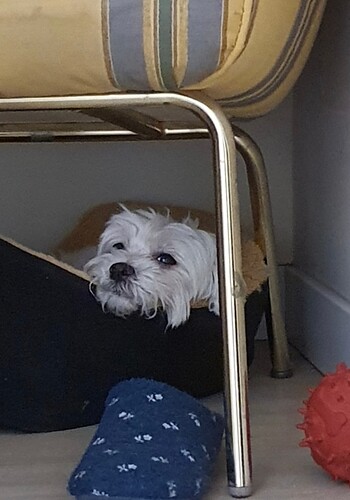 Screenshot_20250907-144354_Gallery