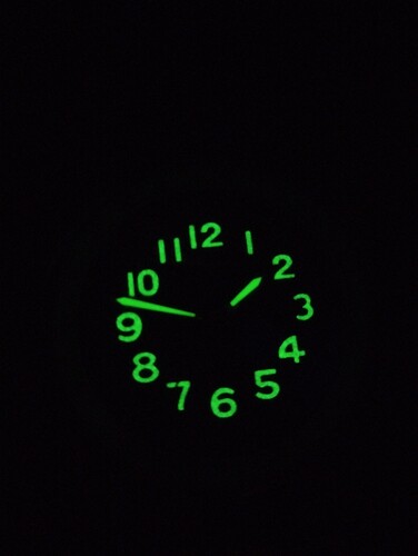 1000025024