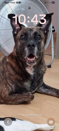 Screenshot_20250911_104308_One UI Home