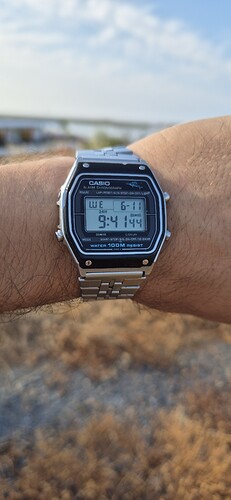 1000085586