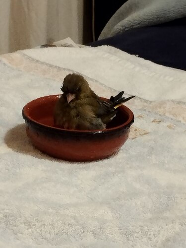 IMG_20250118_224653_591