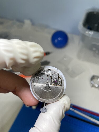 IMG_A07D7BB6-588D-4A8F-BB1B-D9759C5229C1