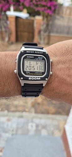 1000085545