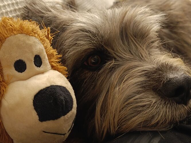 03ae01ca-dead-451b-be4c-6fa8910e6c41-1_all_23202