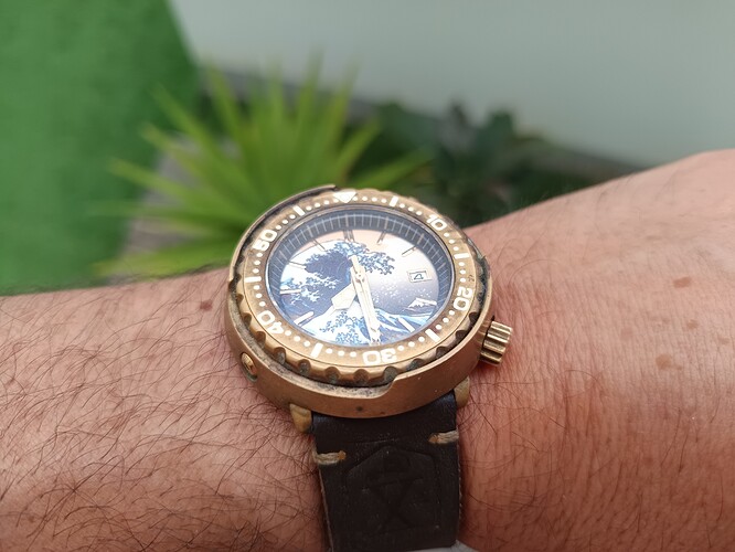 1000094954