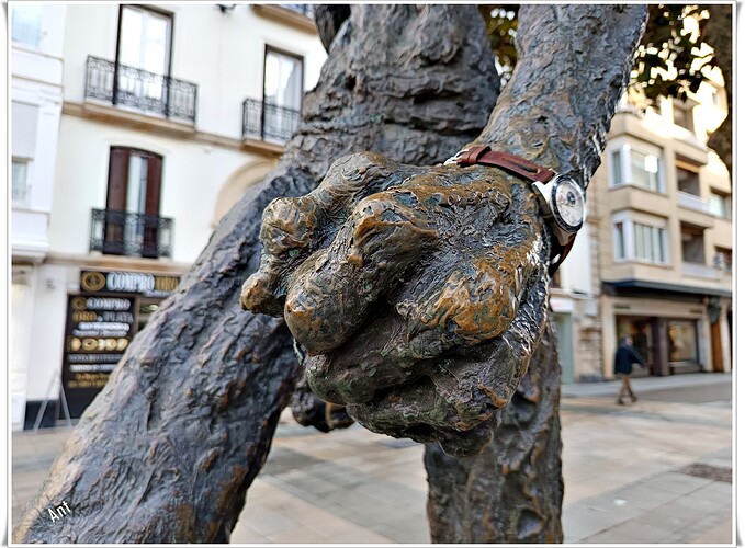 54 E07 IMG_20260202_102717