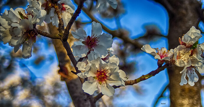 Vivitar 28mm_1-III-2019-04