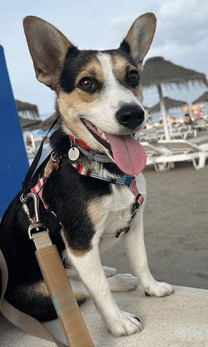 Captura de pantalla 2024-11-12 a las 17.11.34