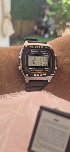 1000189628