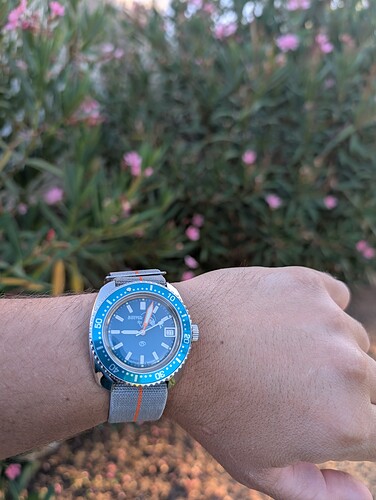 PXL_20250717_190329443.MP