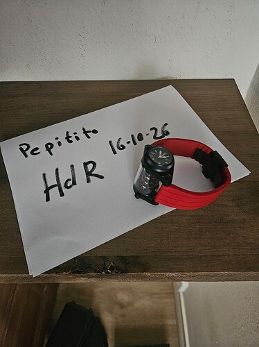 reloj (61)