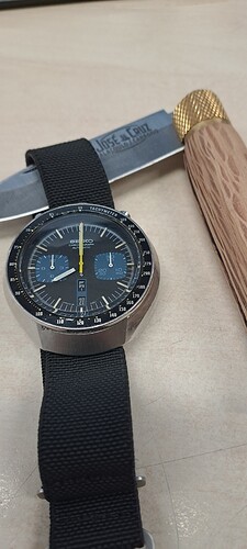 1000097304