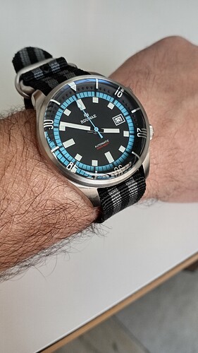 17367834433371155728559776467813