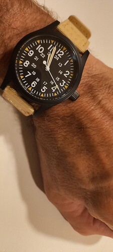 17579697304051287526014509351617