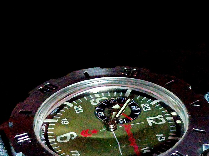 1000024594